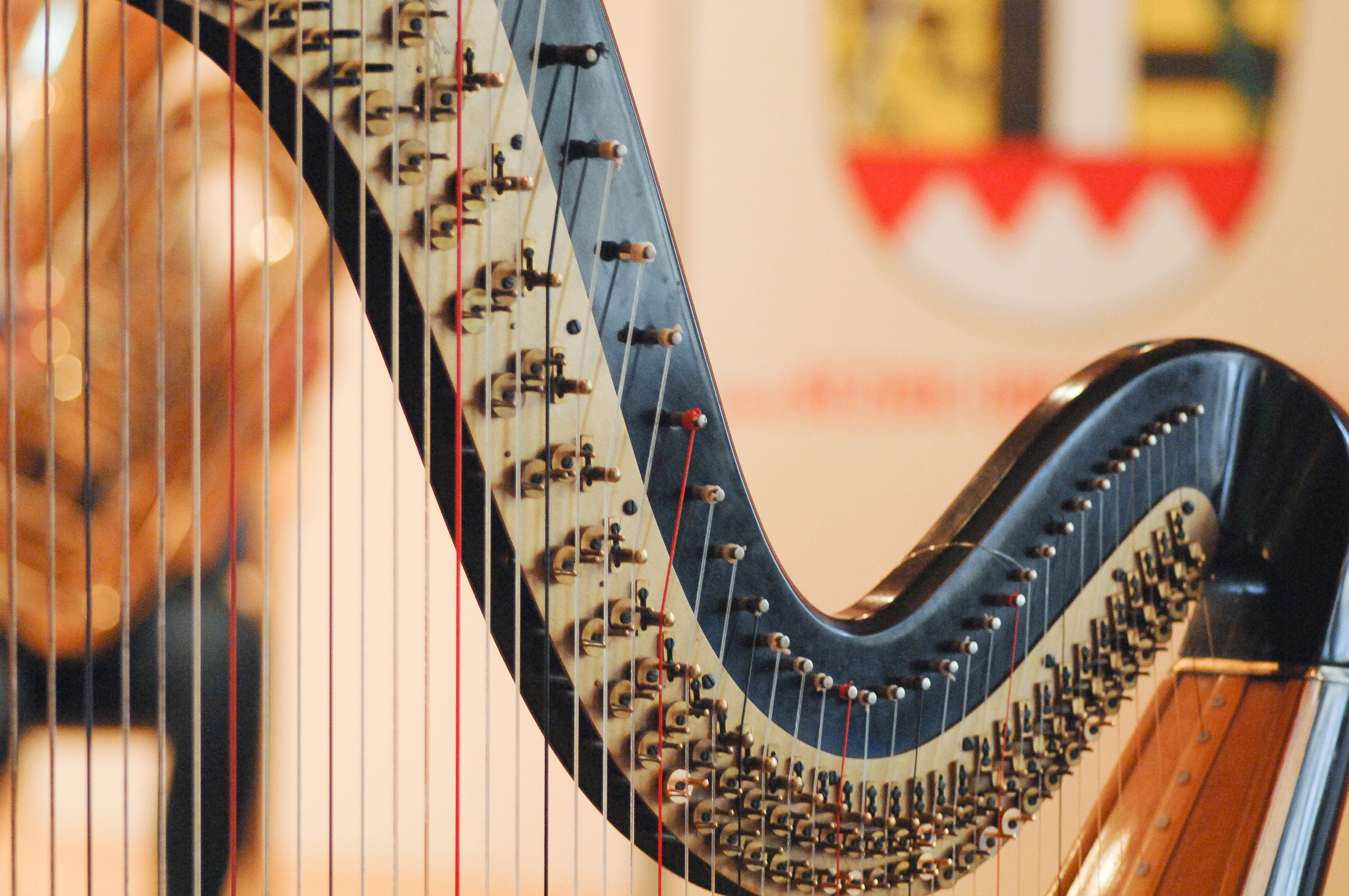 Harfe (Foto: Erwin Lipsky)
