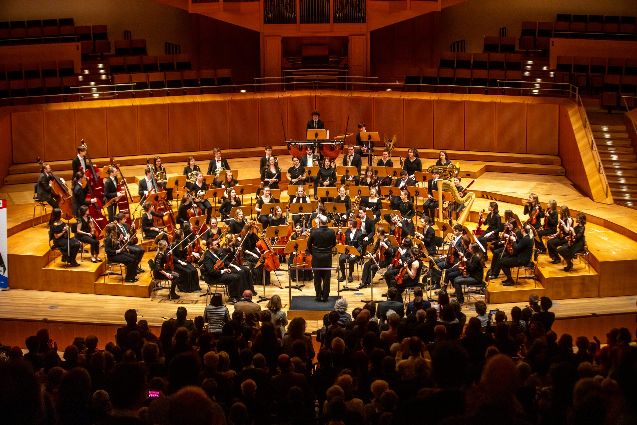 Harfe (Foto: Erwin Lipsky)