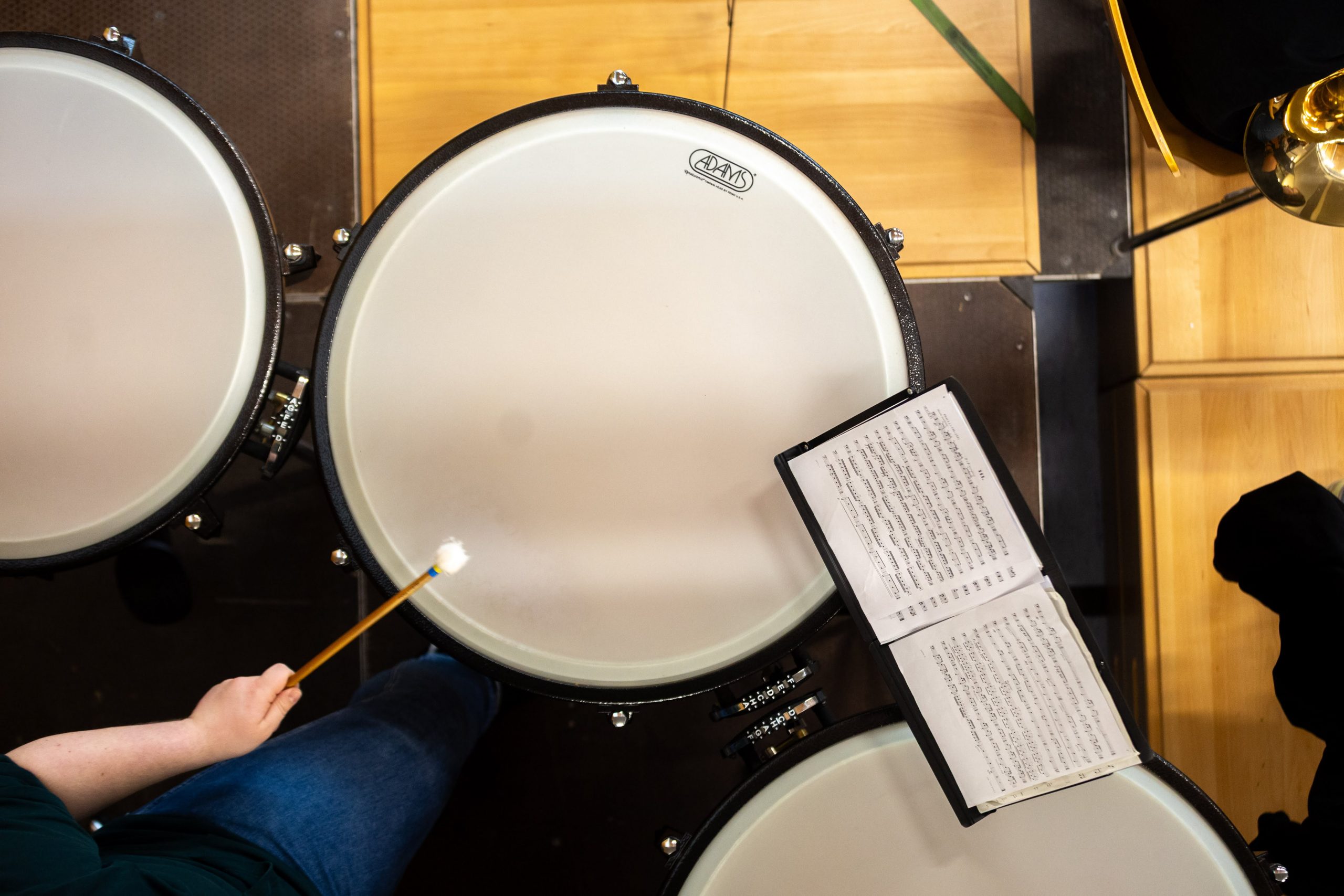 JSO-Pauke Harfe (Foto: Erwin Lipsky)